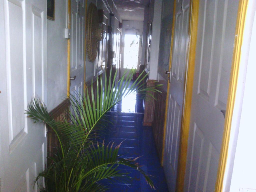 Le Bamboo Guesthouse Mahebourg Exterior photo