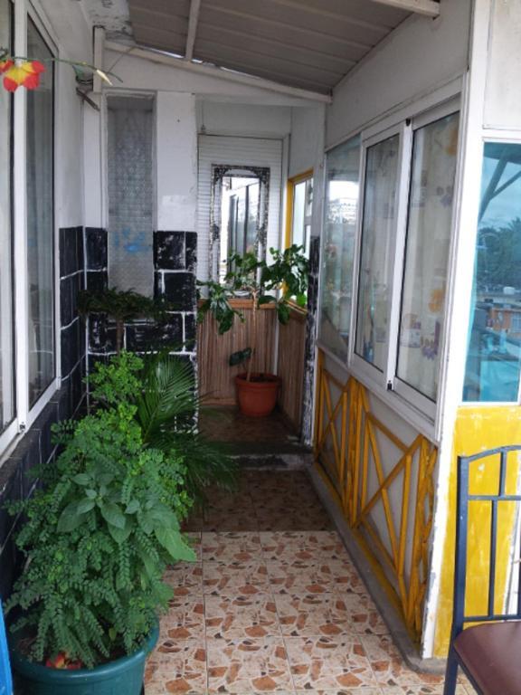 Le Bamboo Guesthouse Mahebourg Exterior photo